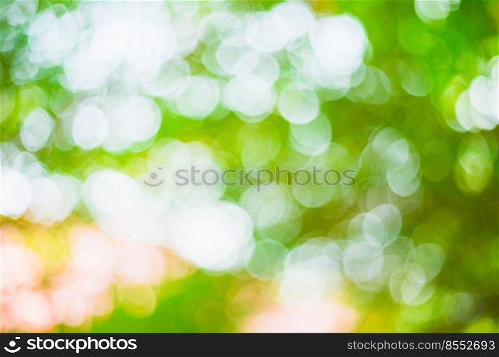 abstract blurred green bokeh≤aves background and texture
