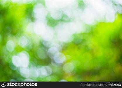 abstract blurred green bokeh leaves background and texture