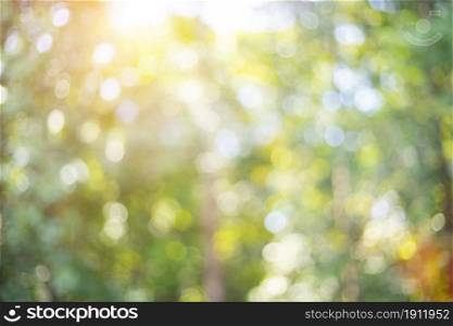 Abstract blurred nature background with bokeh for creative designs.