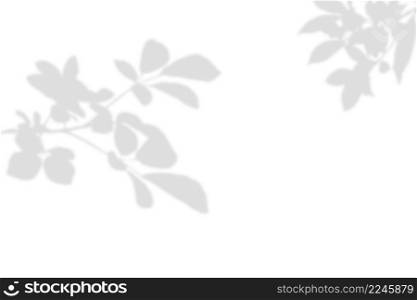Abstract blurred of natural leaves and branch shadow on white background.