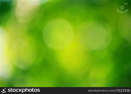 Abstract blurred outdoor garden for background.