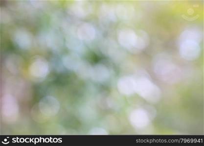 Abstract blurry bokeh background, use as natural background