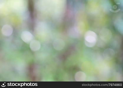 Abstract blurry bokeh background, use as natural background