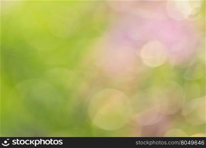 Abstract bokeh and blurred colorful nature background model is used to enter text.