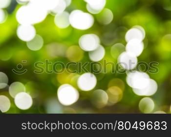 Abstract bokeh and blurred colorful nature background model is used to enter text.
