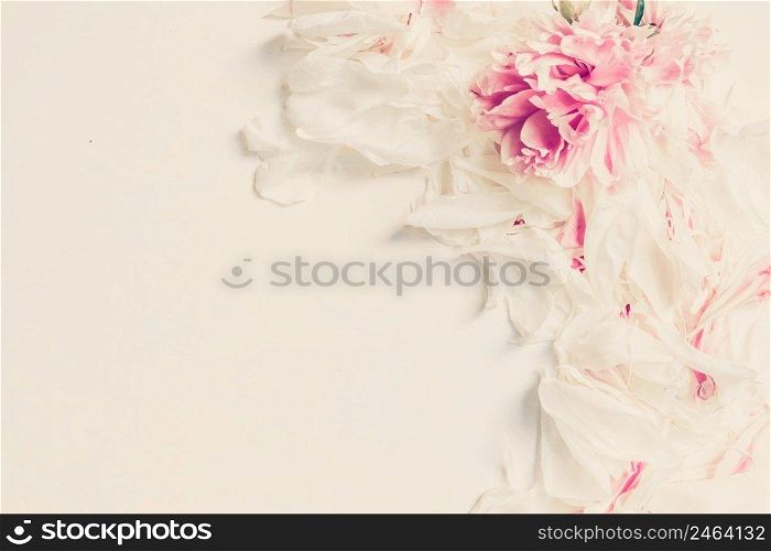 Abstract Border of Beautiful pink and white peony flowers on wooden table with copy space for your text top view and flat lay style.. Abstract Border of Beautiful pink and white peony flowers on wooden table with copy space for your text top view and flat lay style