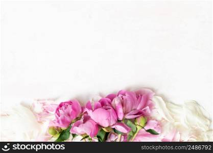 Abstract Border of Beautiful pink and white peony flowers with copy space for your text top view and flat lay style.