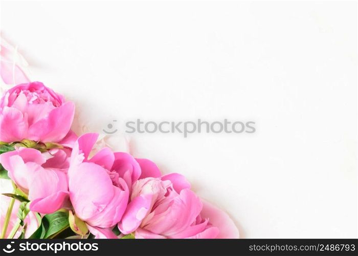 Abstract Border of Beautiful pink and white peony flowers with copy space for your text top view and flat lay style.. Abstract Border of Beautiful pink and white peony flowers with copy space for your text top view and flat lay style