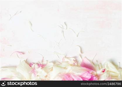Abstract Border of Beautiful pink and white peony petals with copy space for your text top view and flat lay style.. Abstract Border of Beautiful pink and white peony petals with copy space for your text top view and flat lay style