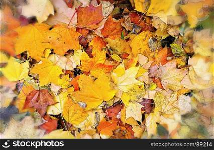 Abstract bright autumn background from fallen leaves of maple