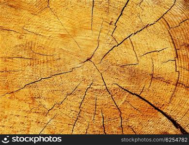 Abstract brown wooden background, building material