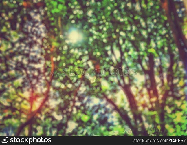 Abstract colorful background. Defocus beneath tree branches and leaves under sunlight.