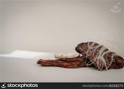 Abstract composition of bark tree podium on pastel biege background. Abstract podium for organic cosmetic products. Natural stand for presentation and exhibitions. Minimal style. Background for product presentation.