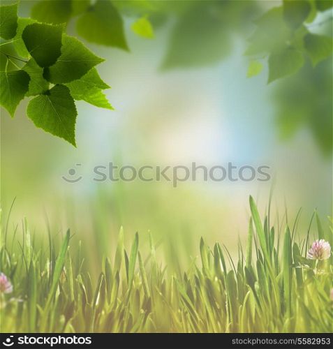 Abstract eco backgrounds with green foliage, grass and few beauty flowers