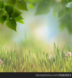 Abstract eco backgrounds with green foliage, grass and few beauty flowers