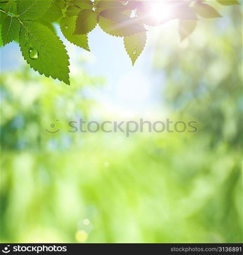 Abstract environmental backgrounds with sun rays and beauty bokeh