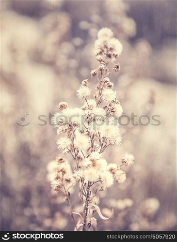 Abstract floral background, grunge style photo of beautiful flowers, fine art, faded natural wallpaper, fashioned image