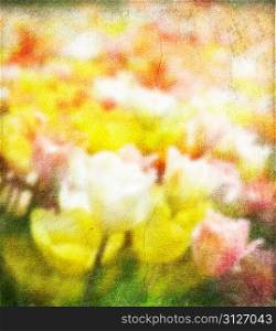 Abstract Floral Background With Colorful Tulips