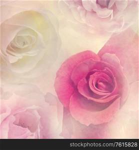Abstract Floral background with rose flowers,soft focus