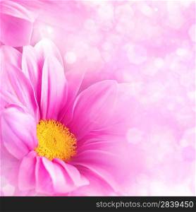 Abstract floral backgrounds for your design