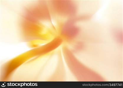 abstract flower, backlited. close-up shot with some blur added