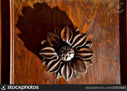 abstract flower brass brown knocker in a closed wood door castiglione olona varese italy