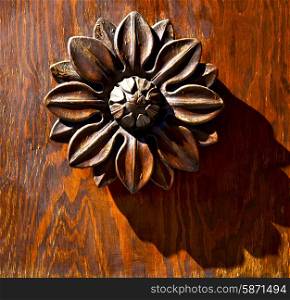 abstract flower brass brown knocker in a closed wood door castiglione olona varese italy