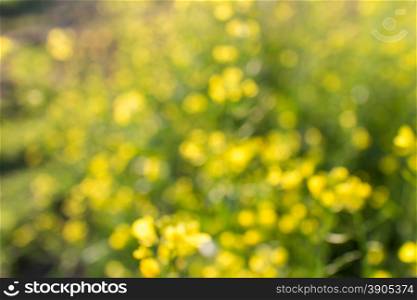 abstract flowers background with natural bokeh