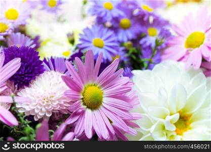 abstract flowers background with rays of sunlight