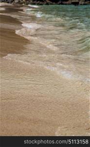 abstract foam in the beach thailand kho tao bay coastline and south china sea