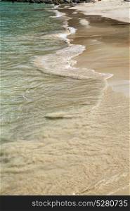abstract foam in the beach thailand kho tao bay coastline and south china sea