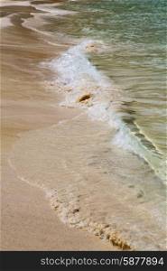 abstract foam in the beach thailand kho tao bay coastline and south china sea&#xA;
