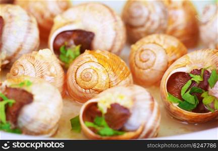 Abstract food background, tasty prepared escargot with garlic sauce, traditional French delicatessen, small cooked snails in the shells, luxury nutrition concept
