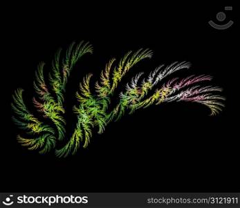 Abstract Fractal Art Multi Color Wing on Black Background