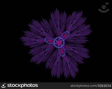 Abstract fractal prickly flower purple black background. Abstract fractal prickly flower purple