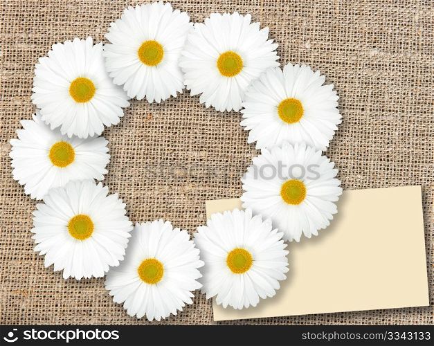 Abstract frame with white flowers and blank message-card on textile background. Close-up. Studio photography.