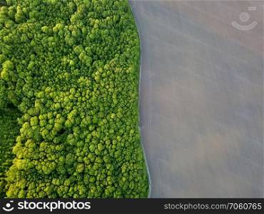 Abstract geometric forms of agricultural fields, prepared for planting works and forest area planted with trees with separated by road in green and black colors. Aerial view from the drone.. Aerial view from the drone, a bird’s eye view to the forest with green spaces and agricultural field with the road dividing them in half at sunset in the summer evening,