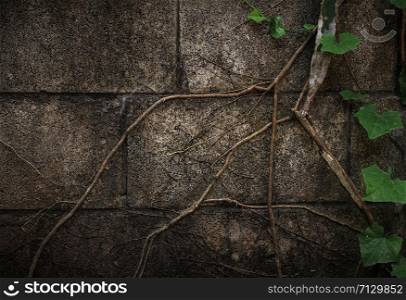 abstract green background grunge texture wall