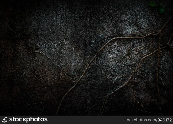 abstract green background grunge texture wall
