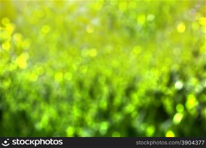 abstract green background with natural bokeh. abstract green background with bokeh