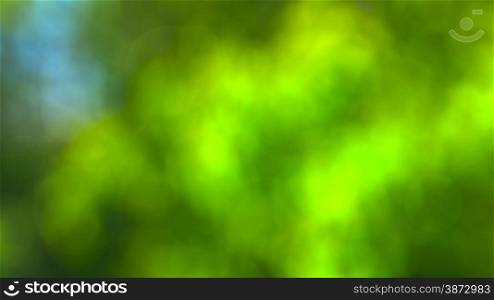 abstract green blurred background bokeh