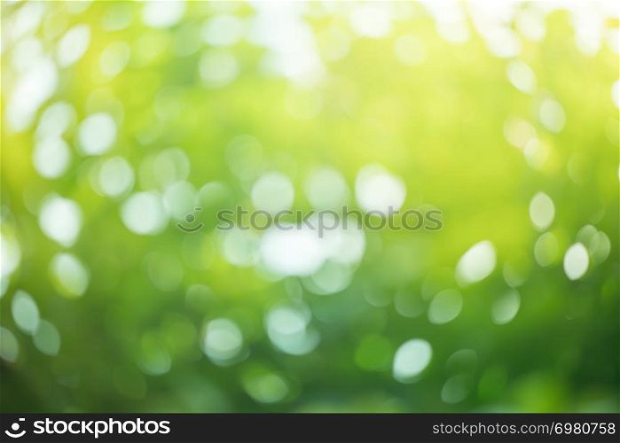 abstract green bokeh background