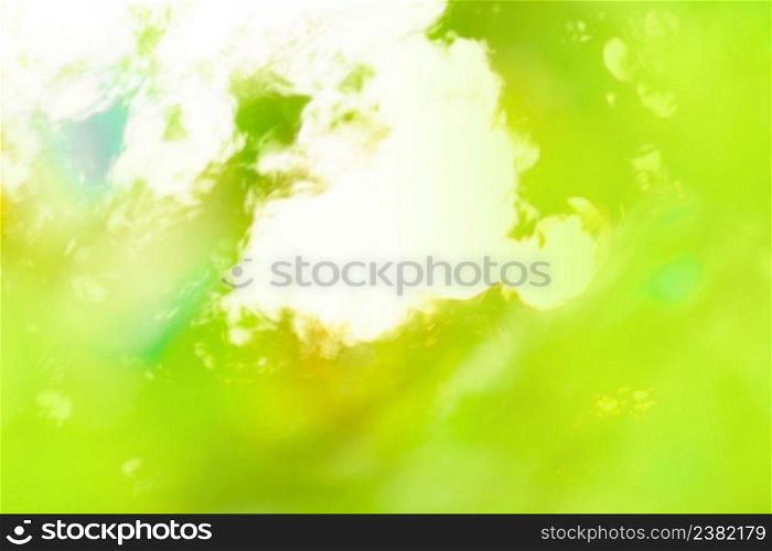 Abstract green bokeh background on sunshine background. Amazing green plants blurred greenery background.. Fresh green background with abstract blurred foliage