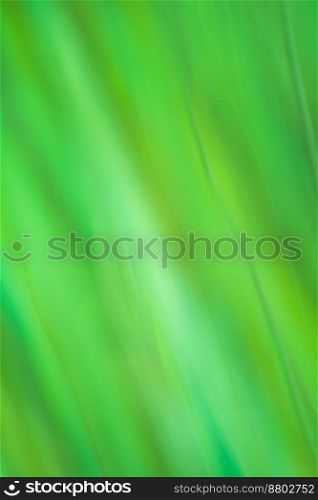 Abstract green color gradient blurred background. Minimal blurred style trendy gradient texture for graphic design.. Blurry green colorful gradient backdrop. Gradient of colour showing blurred background.