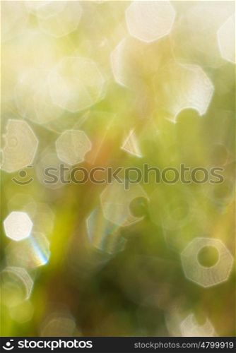 abstract green light texture background
