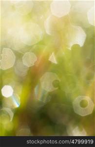 abstract green light texture background