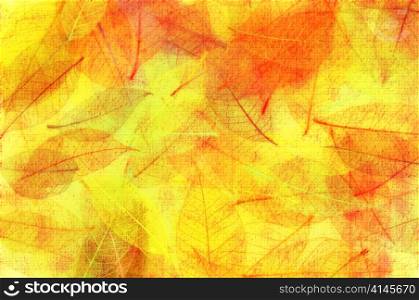 abstract grunge picture of colorful autumn leaves