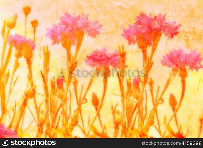 abstract grunge picture of colorful flowers
