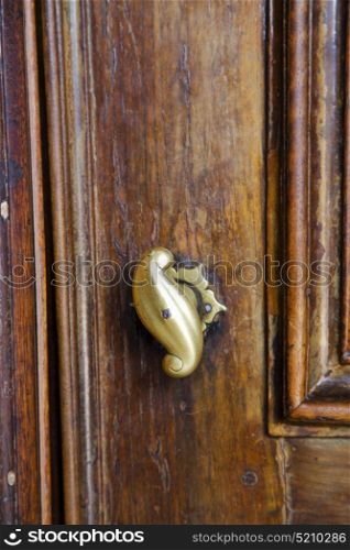 abstract house door in italy lombardy column the milano old closed nail