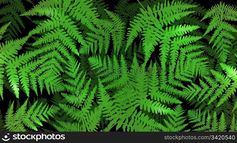 Abstract illustration depicting many green fern leaves against black background.